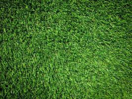 Green grass texture use as natural background. Wallpaper for design artwork photo