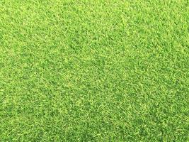 Closeup view of green grass soccer field background. Wallpaper for work and design. photo