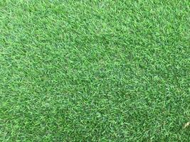 Closeup view of green grass soccer field background. Wallpaper for work and design. photo