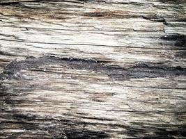 fondo de madera de patrón natural para el diseño foto