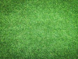 Nature green grass texture background for design. Eco concept. photo