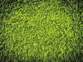 Modern green lawn texture background. Wallpaper for work and design. photo