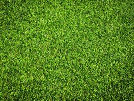 Closeup view of green grass soccer field background. Wallpaper for work and design. photo