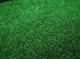 Closeup view of green grass soccer field background. Wallpaper for work and design. photo