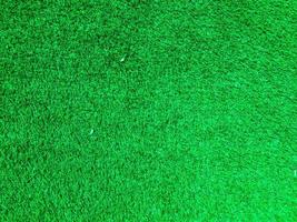 Green grass texture use as natural background. Wallpaper for design artwork photo