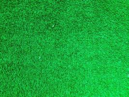 Green grass texture use as natural background. Wallpaper for design artwork photo