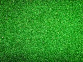 Nature green grass texture background for design. Eco concept. photo