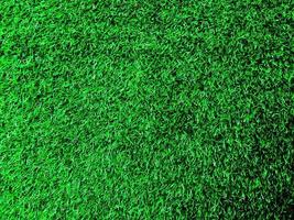 Top view of green grass texture background. Element of design. photo