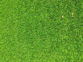 Artificial green lawn backyard for background. Texture for design photo