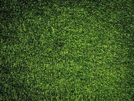 Green grass texture use as natural background. Wallpaper for design artwork photo