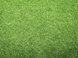 Closeup view of green grass soccer field background. Wallpaper for work and design. photo