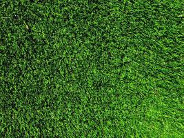 Green grass texture use as natural background. Wallpaper for design artwork photo