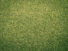 Closeup view of green grass soccer field background. Wallpaper for work and design. photo