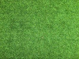 Nature green grass texture background for design. Eco concept. photo