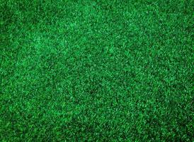 Closeup view of green grass soccer field background. Wallpaper for work and design. photo