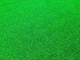 Green grass in the natural background for design photo