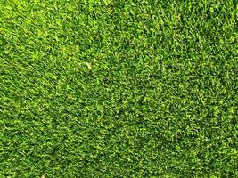 Green grass texture use as natural background. Wallpaper for design artwork photo