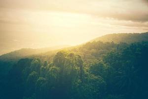 landscape forest in atmosphere cold weather the winter mist covered the mountain. photo