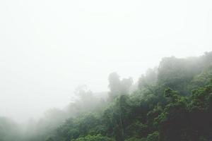 landscape forest in atmosphere cold weather the winter mist covered the mountain. photo