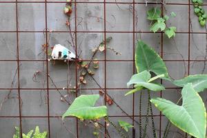 High wall made of stone and concrete. photo