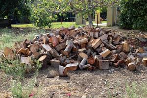 Firewood prepared for the winter. photo