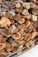 Firewood prepared for the winter. photo