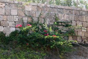 High wall made of stone and concrete. photo