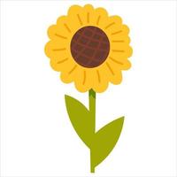 Sunflower plant in cartoon style isolated on white background, farm animal, rural lifestyle concept vector