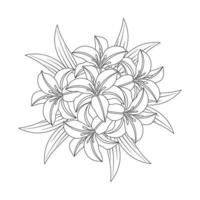 flor de lirio y flor de lilium página para colorear contorno línea decorativa arte gráficos vectoriales vector