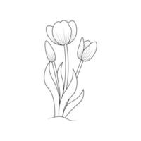 tulip flower coloring page design for book printing template continuous black stroke vector