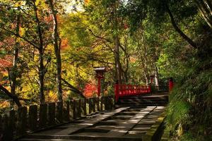 Autumn scene of Kurama-dera, a temple situated at the base of Mount Kurama in the far north of Kyoto Prefecture, Kansai, Japan photo