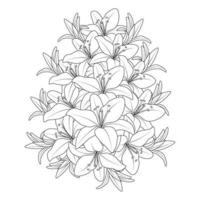 lily flower and lilium flower coloring page outline decorative line art vector graphics