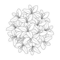 flor de lirio y flor de lilium página para colorear esquema línea decorativa arte gráficos vectoriales vector