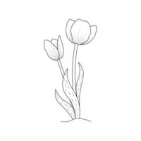 tulip flower coloring page design for book printing template continuous black stroke vector