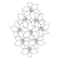 lily flower and lilium flower coloring page outline decorative line art vector graphics
