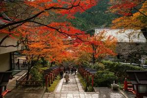 kurama, prefectura de kyoto, kansai, japón - 21 de noviembre de 2019 - los turistas visitan la escena otoñal de kurama-dera, un templo situado en la base del monte kurama en el extremo norte de kyoto foto