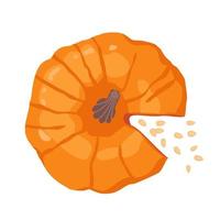 Cut orange pumpkin with seeds, top view. vector