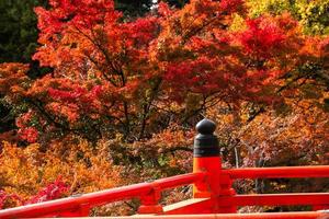 Autumn scene of Kurama-dera, a temple situated at the base of Mount Kurama in the far north of Kyoto Prefecture, Kansai, Japan photo