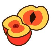 peach in doodle style. Vector illustration of fruit