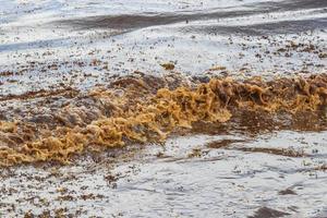 Agua de playa muy repugnante con algas rojas sargazo caribe mexico. foto