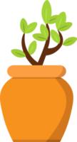 jade plant or Crassula ovata in aesthetic terracotta pot png