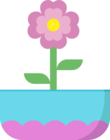 linda flor rosa que florece con hojas en una olla azul rosa png