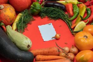 Vegetables are laid out around a sheet of paper and a pencil. Empty space for text. Vegetables, empty blank for recipe on a red background. photo