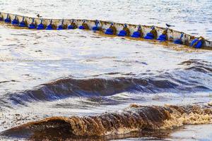 Very disgusting beach water with red seaweed sargazo Carribean Mexico. photo