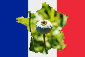 Outline map of the France with the image of the national flag. Image of poppy cob inside card. Collage. The France is a major poppy producer. photo