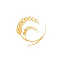 Agriculture wheat rice vector icon design