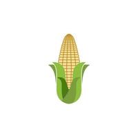 Agriculture corn vector icon design