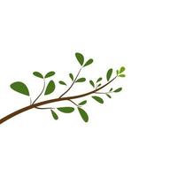 Tree branch vector ilustration design