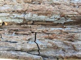 Photo of the rough texture of a wood that has a few cracks.