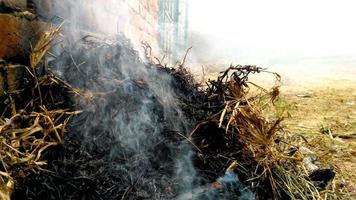 Dry grass burns on the field photo